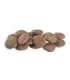 Brit Care Dog Sustainable Senior — kana ja putukaproteiin, 3 kg
