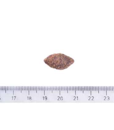 Brit Care Dog teraviljavaba, tundlikele koertele, hirveliha, 1 kg