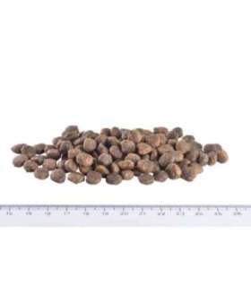 Brit Care Mini GF täiskasvanutele, lambaliha, 7 kg