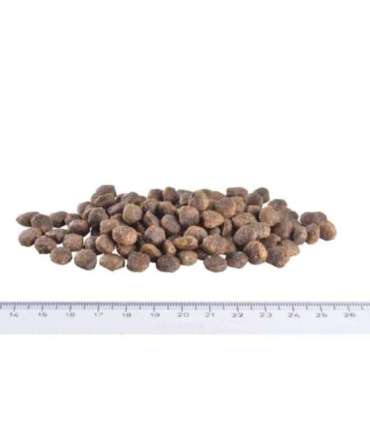 Brit Care Mini GF täiskasvanutele, lambaliha, 7 kg