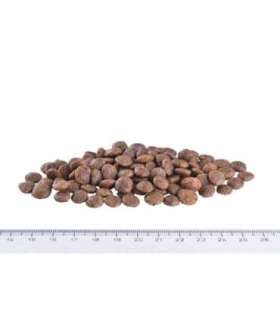 Brit Care Mini GF Sensitive hirveliha 400 g