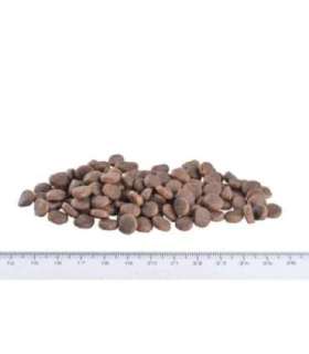 Brit Care Mini gluteenivaba karvadele ja nahale, lõhe ja räim, 2 kg