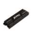 Kingston Technology 4000G RENEGADE PCIe 4.0 NVMe SSD W/ HEATSINK