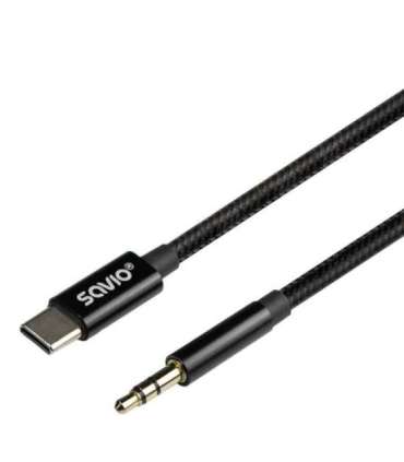 USB-C to mini-Jack cable