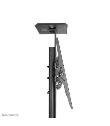 TV SET ACC FLOOR STAND BLACK/32-55" PLASMA-M1700E NEOMOUNTS