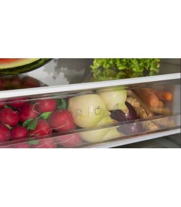 Fridge-freezer BK3045.4 NF(E)