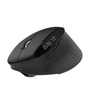 Acer Smart Fit Vertical Mouse, retail pack