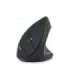 Acer Wireless Vertical Mouse, Black (Retail pack)