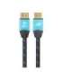 Cable DisplayPort 2 m M/M v 2.1