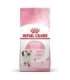 ROYAL CANIN Kitten - dry cat food - 2 kg