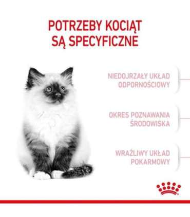 ROYAL CANIN Kitten - dry cat food - 2 kg