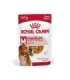 ROYAL CANIN SHN Medium Adult in sauce - wet food for adult dogs - 10x140g