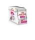 ROYAL CANIN Exigent Wet dog food Pâté 12x85 g