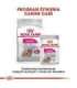 ROYAL CANIN Exigent Wet dog food Pâté 12x85 g