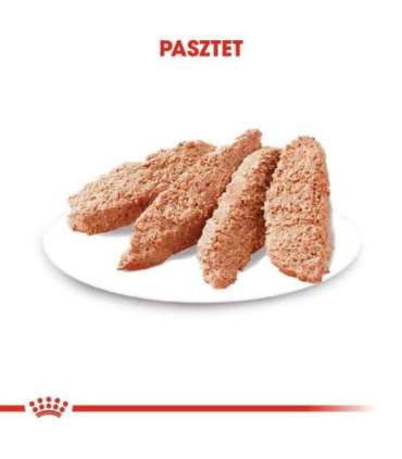 ROYAL CANIN Exigent Wet dog food Pâté 12x85 g