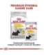ROYAL CANIN Dermacomfort - Wet dog food - 12 x 85 g