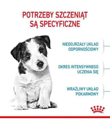 ROYAL CANIN Puppy Mini - dry dog food - 8 kg