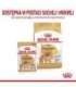 Royal Canin Pomeranian Adult - dry food for dogs - 3 kg
