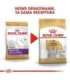 ROYAL CANIN Maltese Adult - dry dog food - 1,5 kg