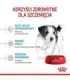 ROYAL CANIN Mini Puppy SHN - dry dog food - 2 kg