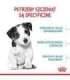 ROYAL CANIN Mini Puppy SHN - dry dog food - 2 kg