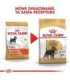 ROYAL CANIN Miniature Schnauzer Adult - dry dog food - 3 kg