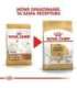 ROYAL CANIN Labrador Adult - dry dog food - 12 kg