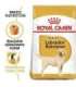 ROYAL CANIN Labrador Adult - dry dog food - 12 kg