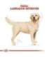 ROYAL CANIN Labrador Adult - dry dog food - 12 kg