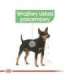 ROYAL CANIN CCN Mini Digestive Care - dry dog food - 3 kg