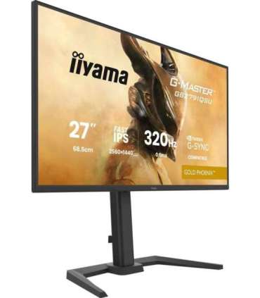 iiyama G-MASTER GB2791QSU-B1 computer monitor 68.6 cm (27") 2560 x 1440 pixels Wide Quad HD Black