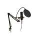 Microphone Recording with handle