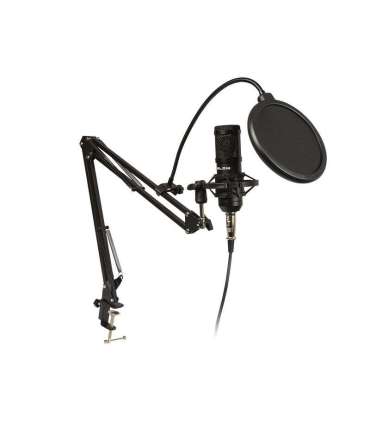 Microphone Recording with handle