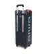 Power Audio Speaker KBTUS-608 600W