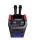 Power Audio Speaker KBTUS-608 600W