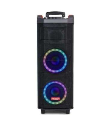 Power Audio Speaker KBTUS-608 600W