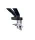 Digitus Desk Mount Tilt, rotation, pivot Dual design monitor mount, 2x 35", 2x 10 kg 35 " Maximum weight