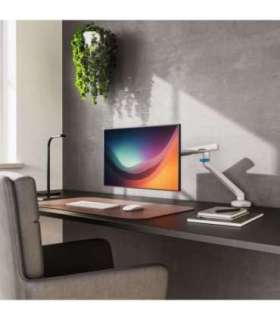 Digitus Desk Mount Tilt, rotation, pivot Single design monitor mount 35 " Maximum weight (capacity) 10 kg |