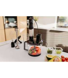 Hand blender set HBD611 1200W