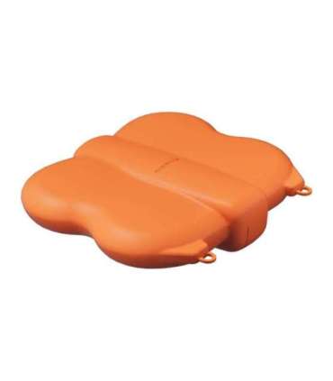 Sunnylife Mini Case with Carabiner for NEO 2, Orange
