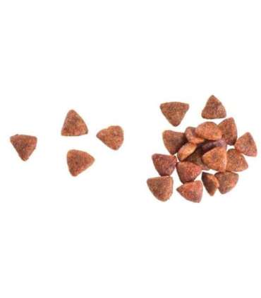 Minimální trvanlivost do 6.6. 2026: Brit Care Cat Grain-Free Adult Activity Support 2 kg
