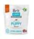 Minimální trvanlivost do 27.7. 2026: Brit Care Dog Hypoallergenic Puppy Lamb 1 kg