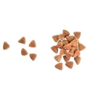 Minimální trvanlivost do 23.7. 2026: Brit Care Cat Grain-Free Haircare Healthy & Shiny Coat 7 kg