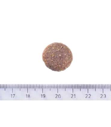 Minimální trvanlivost do 27.7. 2026: Brit Care Dog Grain-free Adult Large Breed Salmon 12 kg