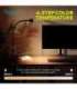 Desk lamp LED DA-90490