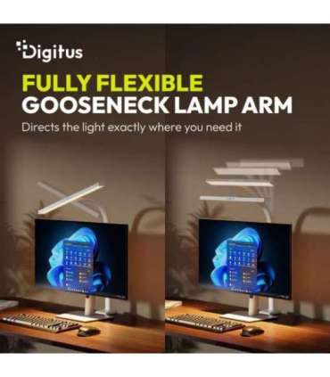 LED Desk Lamp DA-90491
