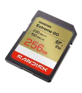 MEMORY SDXC 256GB UHS-I/SDSDXGN-256G-GNCIN SANDISK