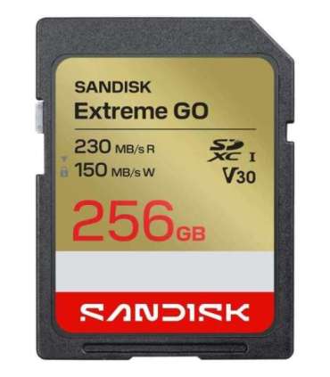 MEMORY SDXC 256GB UHS-I/SDSDXGN-256G-GNCIN SANDISK