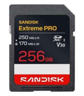 MEMORY SDXC 256GB UHS-1/SDSDXXJ-256G-GSCIN SANDISK