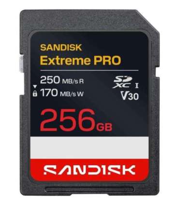 MEMORY SDXC 256GB UHS-1/SDSDXXJ-256G-GSCIN SANDISK